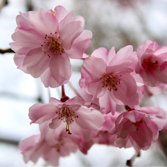 Meet your Posher, M - Picture 1 of 1